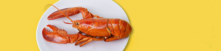 NOÉPE Lobster Bake Offer