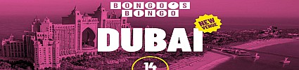 Bongo's Bingo Nov 2019 - SOLD OUT