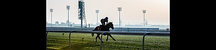 Dubai World Cup 2020: Breakfast With The Stars - CANCELLED