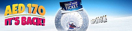 Snow Park Ticket
