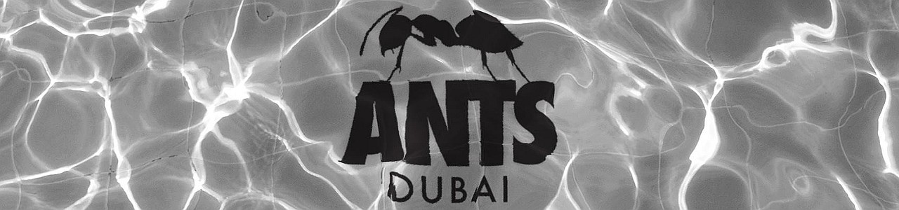 Soho BeachDXB presents ANTS on TOUR Dubai