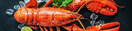 Dunes Café: Lobsterlicious